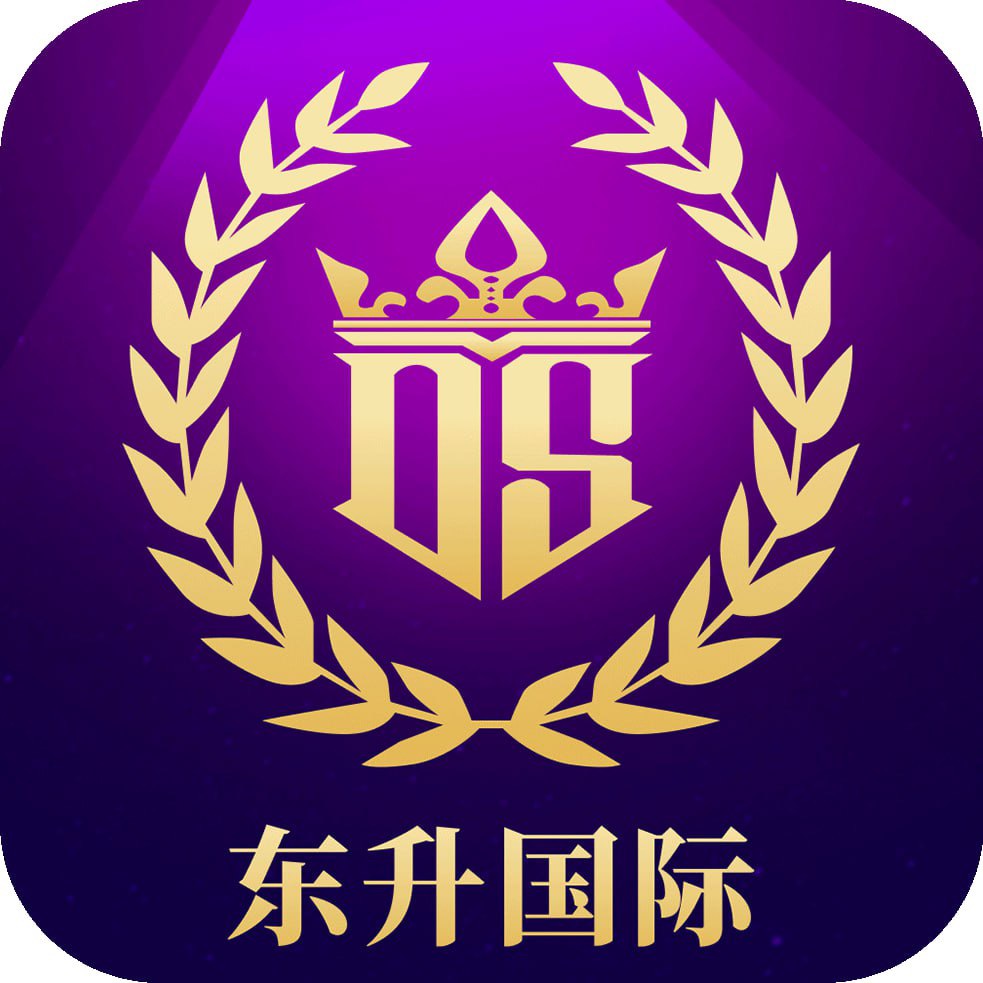 东升国际